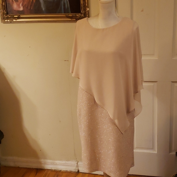 Midnight Velvet Dresses & Skirts - Midnight Velvet Sheer Cape Blush Dress Size 14
